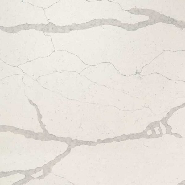 calacatta trento quartz